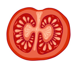 Obraz premium Tomato Cherry slice vector illustration top view for nature design. Red circle vegetable in cartoon style with botanical look. Great for Italian menu and restaurant template or organic farm graphic.