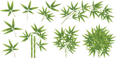 Fototapeta premium Green Bamboo Leaves and Branches Collection with Tropical Asian Plant Elements for Nature Design, Zen Garden Decoration, Spa Branding, and Botanical Background.