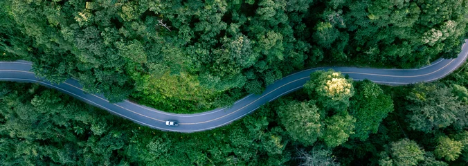 Fotobehang Bospad Aerial forest road with car creating abstract background for electric vehicle, ESG, sustainability and green investment business concepts.  © Hand Robot