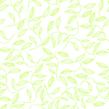 Young spring leaves. Willow branch summer leaves floral vector seamless pattern. Thin contour twig veins doodle. Organic sallow foliage summer motif. Abstract stylized tree leaves endless pattern.