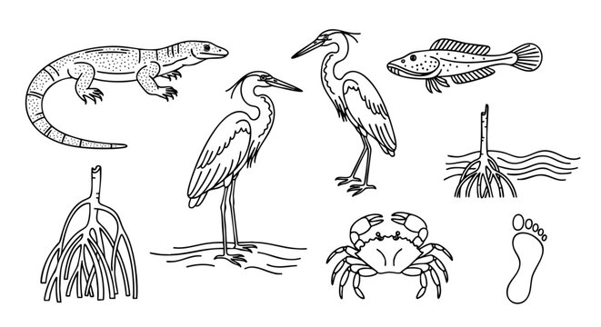 Vector illustration of various marshland animals and plants in a natural ecosystem