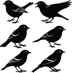 Obraz premium Bird silhouette vector illustration, perched and calling wildlife graphic design, nature symbol icon, animal art pose, avian theme