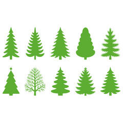 Obraz premium Variety of green Christmas trees in different shapes and sizes