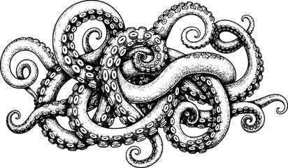 Detailed black and white ink of a swirling octopus with many tentacles and suckers © Ismail