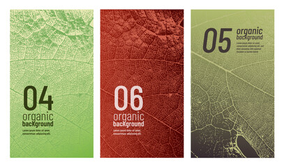 Vine leaf texture design template. Ideal for banners, covers, labels, promotions, and wine designs. © Ografica