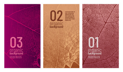 Vine leaf texture design template. Ideal for banners, covers, labels, promotions, and wine designs. © Ografica