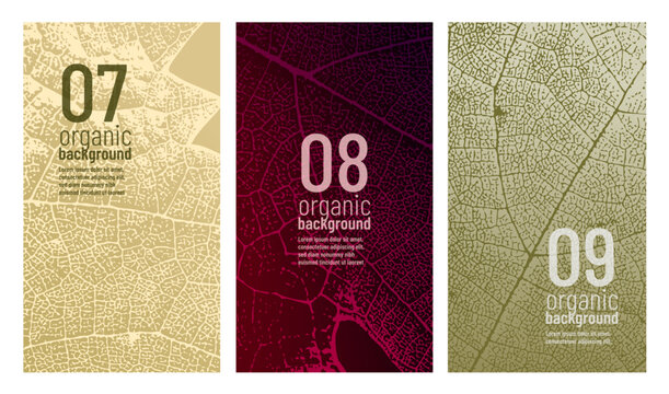 Vine leaf texture design template. Ideal for banners, covers, labels, promotions, and wine designs.