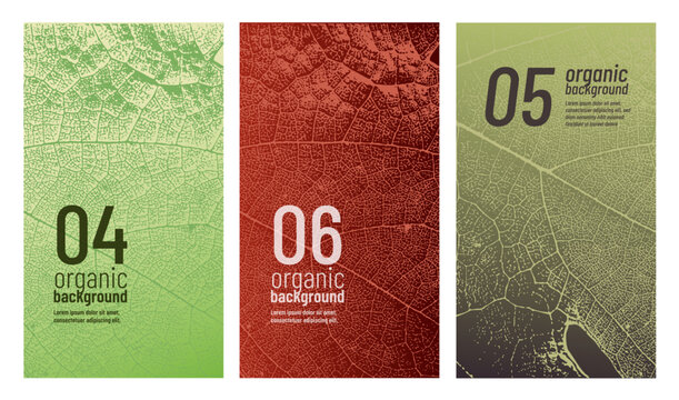 Vine leaf texture design template. Ideal for banners, covers, labels, promotions, and wine designs.