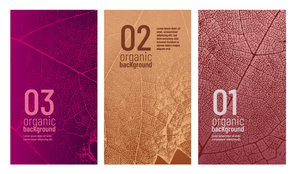 Vine leaf texture design template. Ideal for banners, covers, labels, promotions, and wine designs.