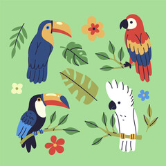 Set of toucans, parrots, and tropical leaves. Vector graphics.