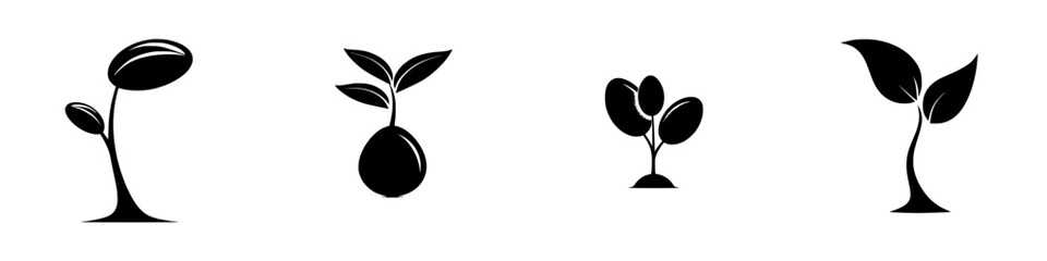 Seedlings of Progress: The Journey from Seed to Plant