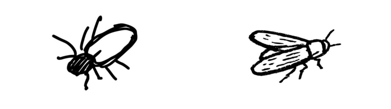 A lone firefly's nightly quest