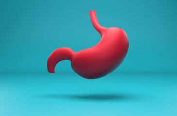 Human stomach - isometric view 3d illustration