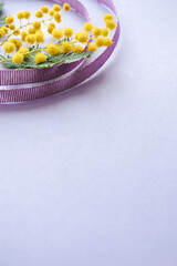 ミモザと紫色のリボンの背景素材　国際女性デーのイメージカラー