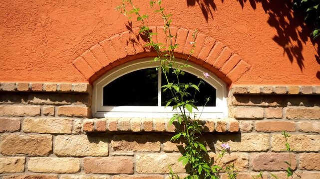 A small arched basement window is partially covered by a climbing vine against an orange stucco wall.