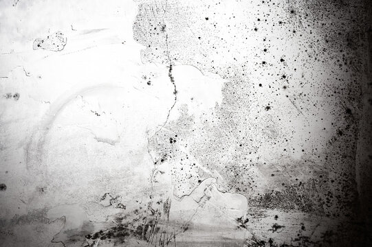 Mold stains and peeling paint on white wall with scratches and marks. Grunge texture overlay ideal for photo editing, urban decay backgrounds and distressed design.