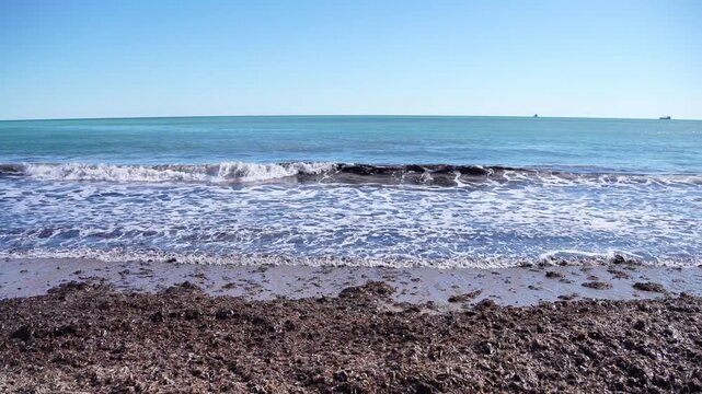 The ocean is calm and the water is a light blue color. The beach is covered in mud and the water is murky