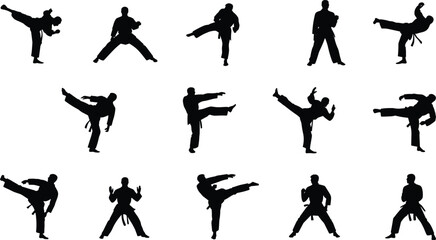 Silhouette vector illustration of martial artists performing diverse stances and kicks in grid arrangement, karate taekwondo kung fu training design © Arif Creatives