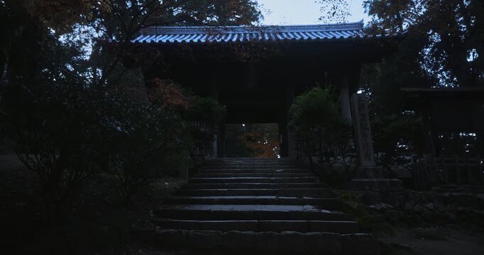 Stone stairs leading up silhouetted Japanese doorway - wide, locked off shot