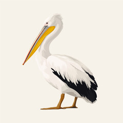 Obraz premium Pelican in a clean 2D flat vector icon style, minimal and simple, set on a plain white background.