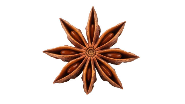 Single star anise spice