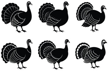 illustration of a turkey on white background © ABIR