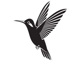 Obraz premium Black and white illustration of a hummingbird in flight with outstretched wings and long beak