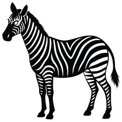 Obraz premium Set of african zebra side and front view cartoon animal design flat vector illustration isolated on white background
