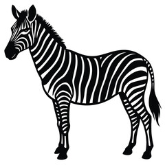 Fototapeta premium Set of african zebra side and front view cartoon animal design flat vector illustration isolated on white background