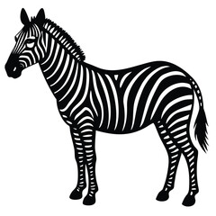 Obraz premium Set of african zebra side and front view cartoon animal design flat vector illustration isolated on white background
