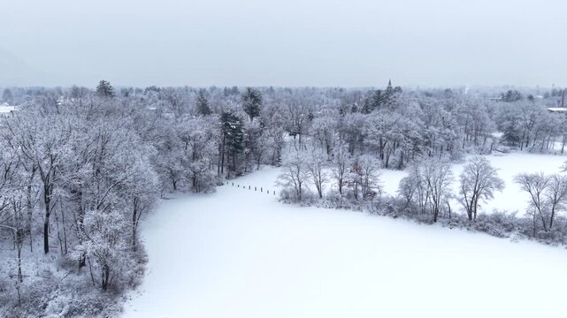 Scenic aerial drone shot of frozen pond amid snow-covered deciduous trees in Easthampton, Massachusetts, USA
