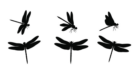 Collection of black dragonfly shapes against a white background silhouette