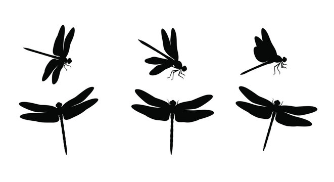 Collection of black dragonfly shapes against a white background silhouette