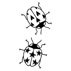 hand drawn ladybug beetle with heart and star patterns © Zen20