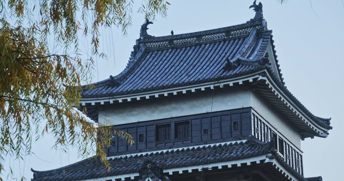Top of ancient 16th century Matsumoto castle near autumn weeping tree - zoomed in shot