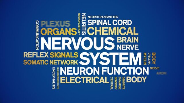 Nervous System animated word cloud-text design animation tag kinetic typography seamless loop.