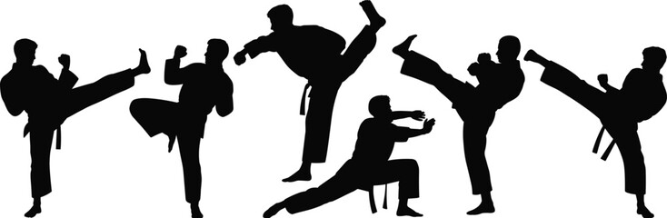 Martial arts fighter silhouettes set, karate taekwondo action poses isolated on white background for sport design ©  Arfina