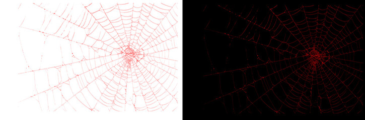 Obraz premium Spider Web on Two Backgrounds: Transparent Isolated Web with Realistic Colorful Iridescent Shine