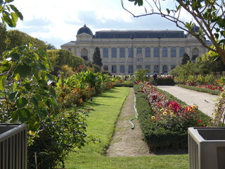 jardin des plantes