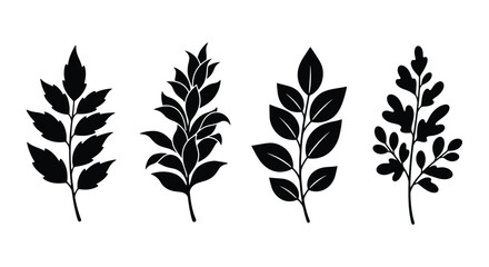 Intricate floral ornament design a striking black silhouette © mst