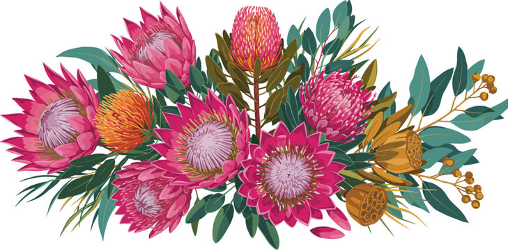Vibrant bouquet of pink and orange proteas with green leaves on white background