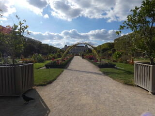 jardin des plantes