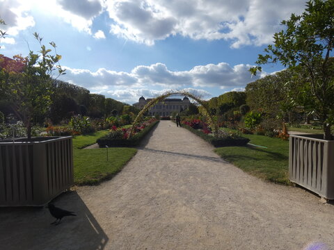 jardin des plantes