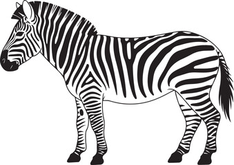 Zebra in two colors silhouette vector design