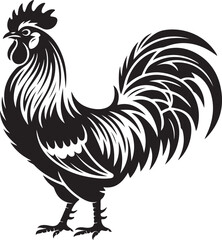 Vector illustration of rooster © Soriyea