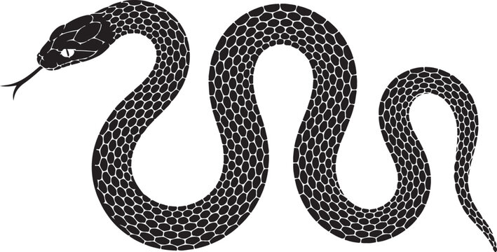 Vector elongated snake silhouette illustration. Black serpent isolated tattoo design.