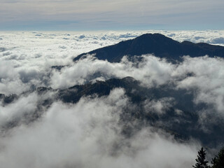 Obraz premium fog in the mountains