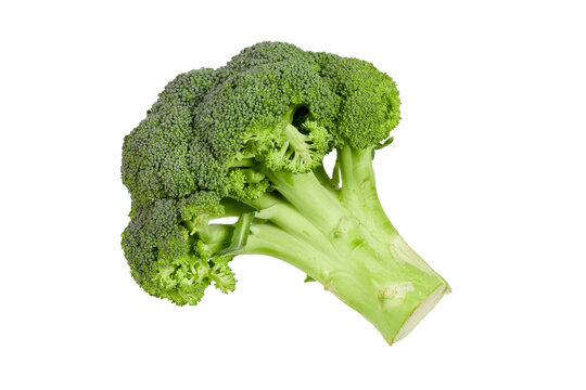 fresh green broccoli head isolated on white or transparent png
