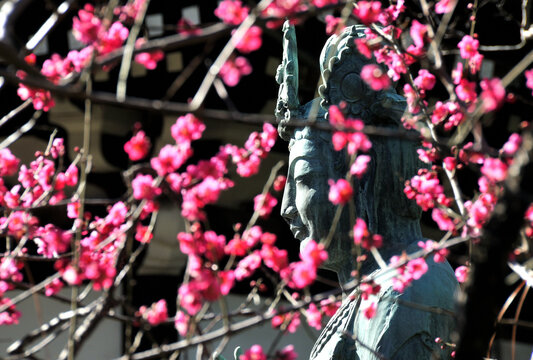 A statue known as Yumechigai ("Dream Changer") seen through blooming red plum trees at Setagaya Kannon-ji, a Buddhist temple in Tokyo, Japan.