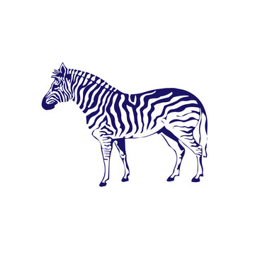 Zebra Animal Icon